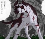  dog ginga_nagareboshi_gin lowres mukonga_(ginga_nagareboshi_gin) scar tail wolf 