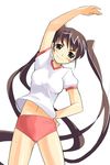  blue_eyes brown_hair buruma gym_uniform long_hair original sikorsky simple_background solo twintails very_long_hair 