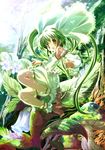  barefoot bellflower blush detached_sleeves feet floating flower forest frills green_eyes green_hair hanpen light long_hair minigirl mushroom nature original smile solo toeless_legwear toes twintails 