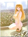  blonde_hair breasts choker dead_or_alive ebina_souichi field flower flower_field kasumi_(doa) large_breasts long_hair nipples nude sandals solo yellow_eyes 