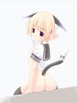  animal_ears ass cat_ears copyright_request flat_chest mouth_hold no_panties school_uniform shirt_lift solo thighhighs togami_masaki 