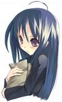  ahoge blue_hair blush long_sleeves mikage_sekizai shakugan_no_shana shana solo 