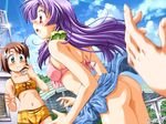  aqua_eyes ass bikini blue_sarong blush bottomless brown_hair cloud day flat_chest game_cg hair_bobbles hair_ornament hinomiya_natsuha long_hair multiple_girls navel no_panties open_mouth outdoors pink_eyes plaid plaid_sarong plaid_swimsuit pool purple_hair sarong shizuna_(torakapu!) short_hair sky surprised surprised_arms sweatdrop swimsuit takeya_masami torakapu! umbrella 