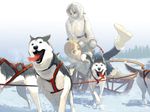  1girl boots braid coat dog dog_sled harness husky kiriman_(souldeep) long_sleeves original pack_of_dogs pants pantyhose sled snow tongue twin_braids 