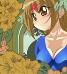  blue_shirt blush breasts brown_eyes brown_hair cleavage closed_mouth collarbone expressionless flower hibiscus large_breasts momose_kurumi pani_poni_dash! plant screencap shirt solo upper_body window 