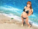  3d beach bikini day game_cg illusion_soft jinkou_shoujo lowres non-web_source resized solo swimsuit wallpaper 