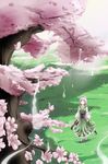  bad_id bad_pixiv_id black_hairband cherry_blossoms hairband highres hitodama ichirino_minagi konpaku_youmu konpaku_youmu_(ghost) looking_up older silver_hair solo touhou tree weapon 