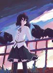  belt bird black_dress black_hair black_legwear closed_mouth dress expressionless hair_between_eyes hat long_sleeves looking_away shameimaru_aya short_hair solo takanashi_akihito thighhighs tokin_hat touhou 