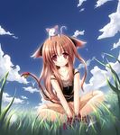  animal_ears bell brown_eyes brown_hair cat cat_ears cloud day grass jingle_bell long_hair original sitting sky solo tail tail_bell yamamoto_nori 