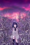  copyright_request field kneehighs looking_at_viewer misaki_kozue nature sailor_collar scenery sky socks solo sunset 
