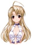  ahoge artist_request blonde_hair breasts choker cleavage colorized front-tie_top halterneck long_hair medium_breasts pia_carrot_(series) pia_carrot_e_youkoso!!_3 red_eyes sketch solo takai_sayaka 