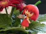  artist_request chibi figure flower habanero habanero-tan original photo plant solo watering_can 