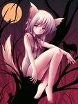  animal_ears barefoot bottomless copyright_request dog_ears moon short_hair silhouette solo tail yamamoto_nori 
