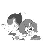  2019 anthro beagle bedroom_eyes black_and_white bone bowl butt canid canine canis cassie collar dog_food domestic_dog fangs female food_bowl half-closed_eyes lonbluewolf looking_at_viewer mammal monochrome seductive solo teeth tongue tongue_out 