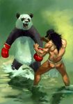 angry animal bad_id battle bear black_hair boxing boxing_gloves denchi duel fundoshi hat japanese_clothes long_hair male_focus manly muscle original panda water what 