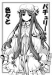  greyscale hat long_hair monochrome patchouli_knowledge robe solo tano touhou very_long_hair 