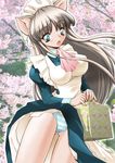  animal_ears apron aqua_eyes aqua_panties artist_request breasts brown_hair cat_ears cherry_blossoms copyright_request headdress long_hair maid obentou open_mouth panties solo striped striped_panties underwear wind wind_lift 