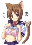  animal_ears bra brown_eyes brown_hair cat_ears eyebrows_visible_through_hair high-waist_skirt lingerie mouth_hold neckerchief original pink_bra school_uniform shirt_lift short_sleeves simple_background skirt solo tail tail_wagging takeda_hiromitsu underwear white_background 