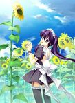  ar_forgotten_summer flower game_cg garter_straps maid maid_headdress nanao_naru purple_hair shirakawa_tsumire solo sunflower thighhighs twintails 