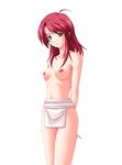  artist_request breasts custom_reido_iii fundoshi japanese_clothes loincloth nipples nude red_hair solo 