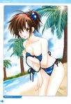  :d ahoge antenna_hair arm_support artbook bangs bare_shoulders beach bikini blue_bikini blurry blush breast_hold breasts brown_hair cleavage cloud dated day depth_of_field dutch_angle fingernails girls_bravo hair_between_eyes hair_bobbles hair_ornament hand_on_thigh highres kojima_kirie large_breasts leaning_forward lens_flare long_fingernails looking_at_viewer looking_back mario_kaneda non-web_source ocean official_art open_mouth orange_eyes outdoors ponytail profile scan short_hair side-tie_bikini sky smile solo standing striped striped_bikini swimsuit undressing water 
