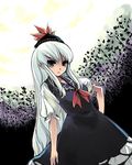  blue_dress blue_eyes dress hand_on_hip hat kamishirasawa_keine long_hair plant puffy_sleeves ribbon short_sleeves silver_hair solo touhou yuu_(kfc) 