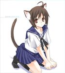  animal_ears brown_eyes brown_hair cat_ears kubyou_azami original school_uniform socks solo tail 