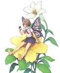  barefoot bug butterfly butterfly_wings fairy flower flower_request insect minigirl on_flower original school_uniform sitting soles solo toes wings youhei_(artist) 