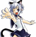  ;d ahoge animal_ears blue_eyes blush cat_ears cat_tail fangs foreshortening grey_hair one_eye_closed open_mouth original outstretched_arms outstretched_hand petite pleated_skirt short_hair skirt smile solo spread_arms tail takano_saki 
