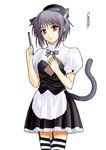  animal_ears bangs cat_ears minazuki_jiyun nagato_yuki short_hair solo suzumiya_haruhi_no_yuuutsu tail thighhighs waitress 