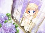  blonde_hair blue_eyes carnelian curtains flower hydrangea long_hair long_sleeves original rain solo window 