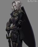  ark_angel ark_angel_ev armor elf elvaan final_fantasy final_fantasy_xi grey_skin masn_(moxi) pointy_ears red_eyes shield solo sword translated weapon white_hair 