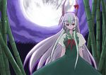  bamboo bamboo_forest ex-keine forest horn_ribbon horns kamishirasawa_keine kurousou long_hair moon nature night night_sky red_eyes ribbon silver_hair sky solo touhou very_long_hair 