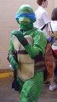  leonardo lowres photo teenage_mutant_ninja_turtles what 