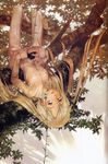  barefoot blonde_hair highres in_tree long_hair okama original pants plant potted_plant solo tree upside-down very_long_hair yellow_eyes 