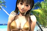  3d beach bikini breasts day flear incise_soul large_breasts m-rs ocean outdoors solo swimsuit 