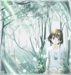  :o blue_eyes brown_hair forest iuro light_rays looking_away nature original scenery short_hair sitting solo sunbeam sunlight transparent tree 