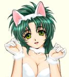  animal_ears cat_ears green_hair imageboard_colors jochuu-san lowres oekaki original solo yagisaka_seto 