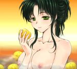  breasts green_eyes green_hair jochuu-san large_breasts lowres nipples nude oekaki original solo upper_body yagisaka_seto 