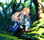  cape forest long_hair long_sleeves louise_francoise_le_blanc_de_la_valliere myu nature school_uniform solo thighhighs zero_no_tsukaima 