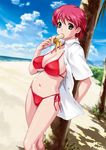  against_tree banana beach bikini breasts curvy day eating expressionless eyebrows_visible_through_hair food fruit green_eyes happoubi_jin holding holding_food holding_fruit iihara_nao large_breasts navel open_clothes open_shirt outdoors pink_hair red_bikini resort_boin shirt short_hair side-tie_bikini solo swimsuit tree 