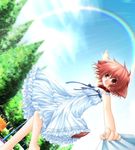  animal_ears arm_up barefoot bench blush bow cloud collar day dog_ears dog_tail dragging dress dutch_angle flat_chest frills game_cg hinata_(pure_pure) looking_at_viewer open_mouth outdoors pink_eyes pink_hair pointing pov pure_pure rain rainbow ribbon sakurazawa_izumi shirt_tug short_dress short_hair sky solo standing sundress tail tree unbuttoned wet 