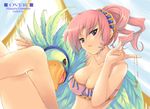  bare_shoulders bird breasts character_request cleavage copyright_request crossed_legs earrings feathers hair_ornament hairpin jewelry key medium_breasts necklace pink_hair ponytail purple_eyes short_hair sitting solo strapless tubetop uemoto_masato 