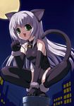  animal_ears bell bell_collar black_gloves cat_ears collar copyright_request csy elbow_gloves gloves green_eyes leotard solo tail thighhighs 