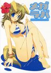  :o animal_ears anklet barefoot bikini blue_eyes bracelet breasts brown_hair character_request copyright_request flower hair_flower hair_ornament hibiscus highres jewelry large_breasts long_hair open_mouth side-tie_bikini sitting solo striped striped_bikini swimsuit tail takanae_kyourin undressing 