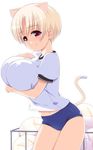  animal_ears artist_request blonde_hair breast_padding breasts buruma cat_ears cat_tail copyright_request gym_uniform huge_breasts red_eyes short_hair smile solo tail volleyball 