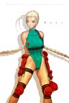  beret braid breasts cammy_white green_leotard hat large_breasts leotard long_hair nekkeau solo street_fighter twin_braids 