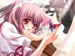  airi_(quilt) bird carnelian flower game_cg pink_hair quilt_(game) ribbon seagull solo twintails two_side_up 