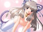 air animal_ears artist_request bell bell_collar blush breasts cat_ears collar jingle_bell nude solo tail thighhighs toono_minagi 