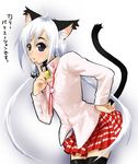  animal_ears cat_ears long_sleeves miniskirt original skirt solo tail takano_saki thighhighs zettai_ryouiki 